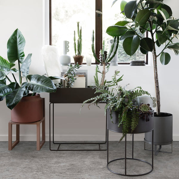 | Ferm Living Plant | Modern Pots - Batten Home