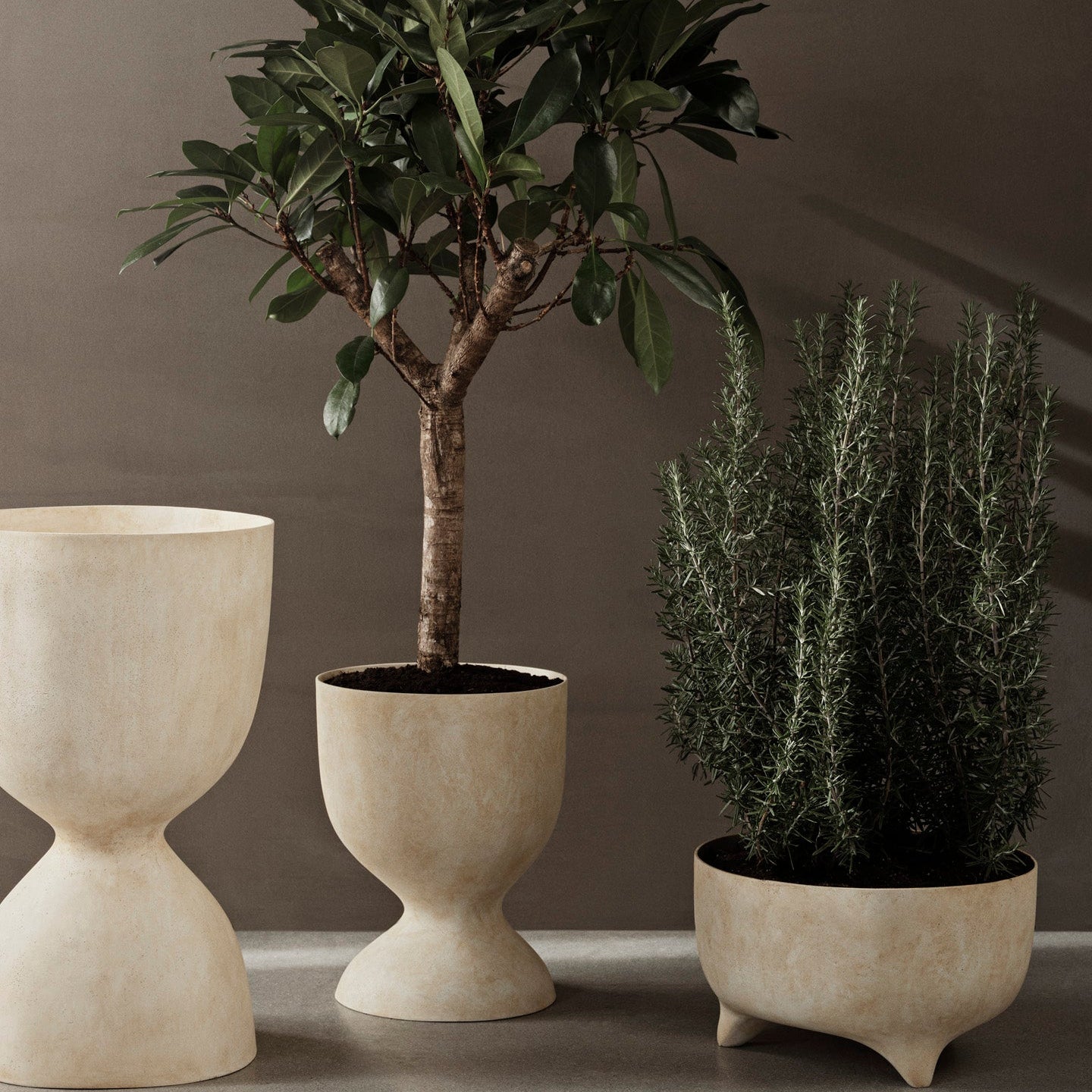 Evoke Pot - Low