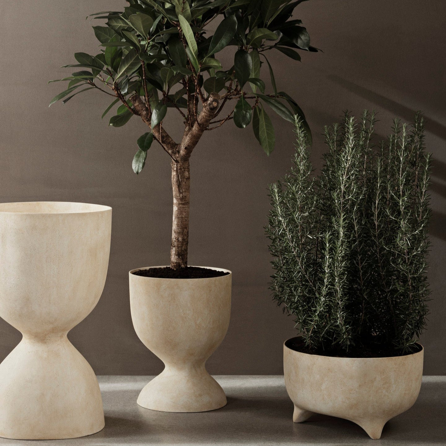 Evoke Pot - Tall