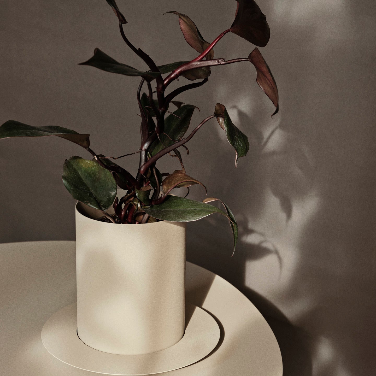 Auran Pot