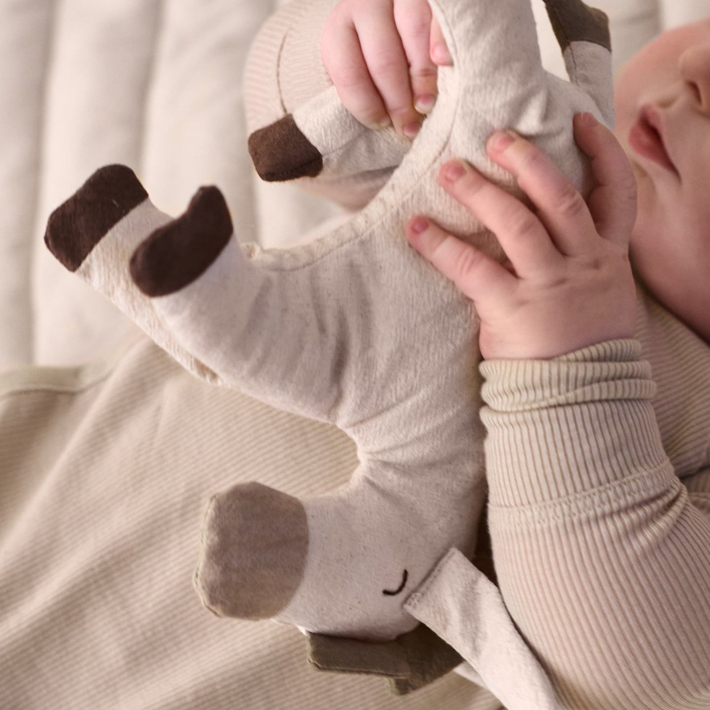 Donkey Soft Toy
