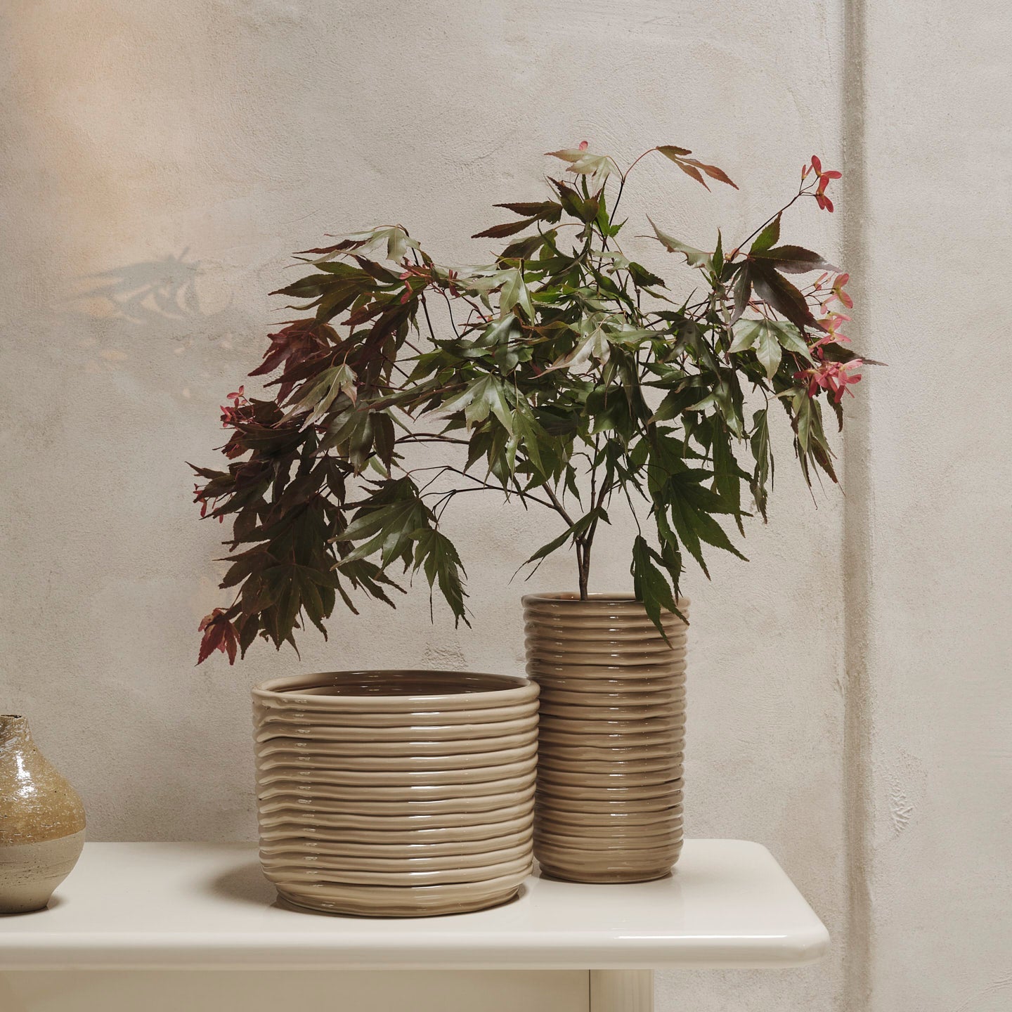 Corduroy Vase