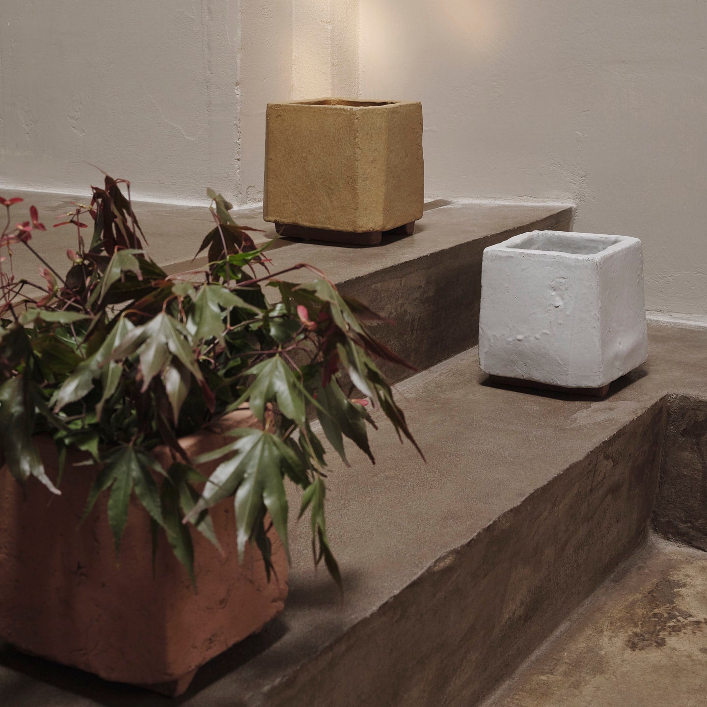 Kurinu Pot - Batten Home