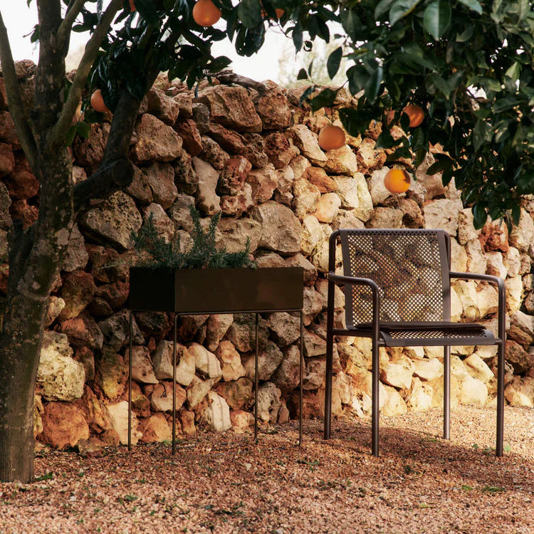 Dapple Armchair