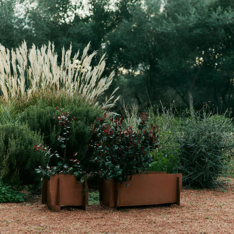 Lapel Planter - Square