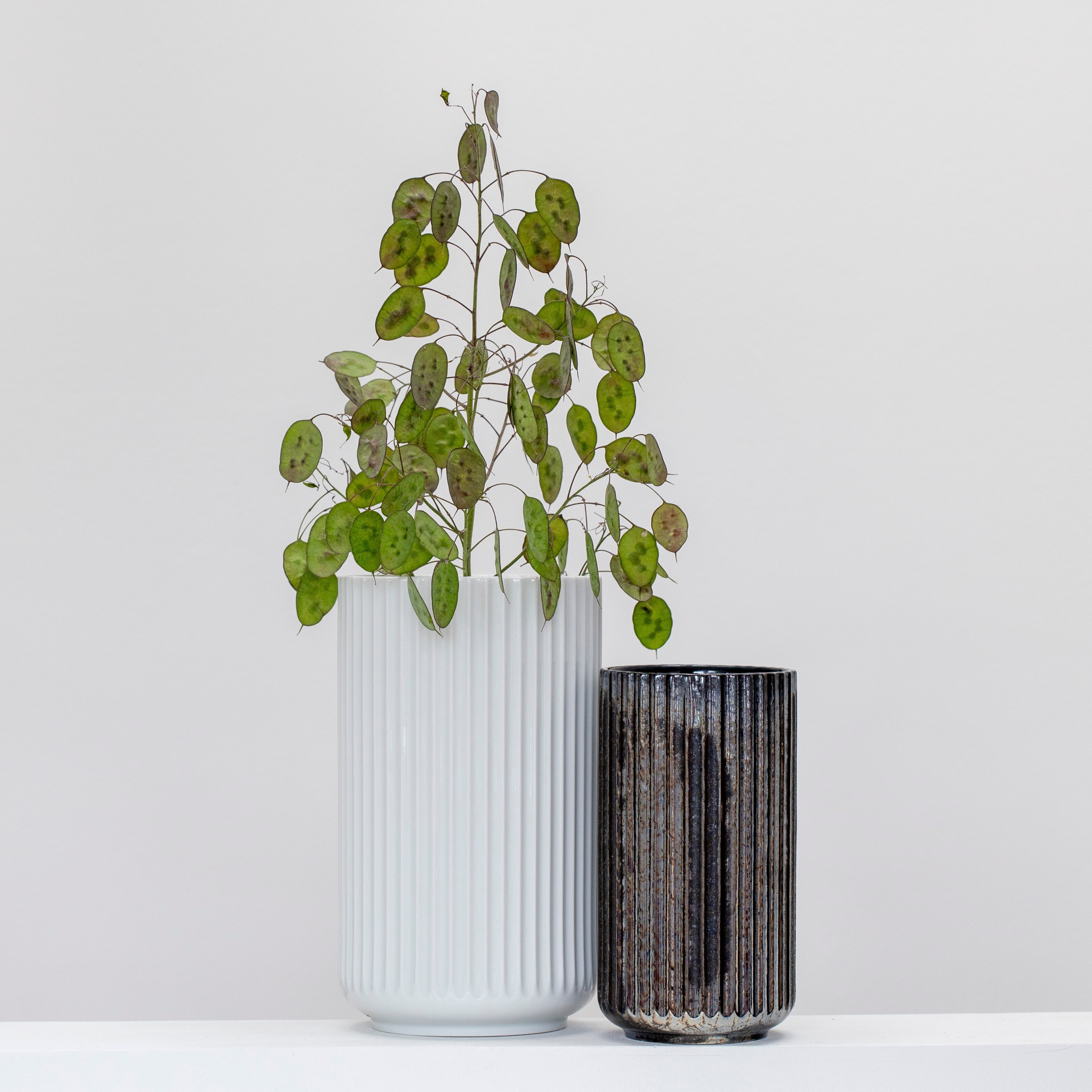 Lyngby Porcelain Vase 20.5 White