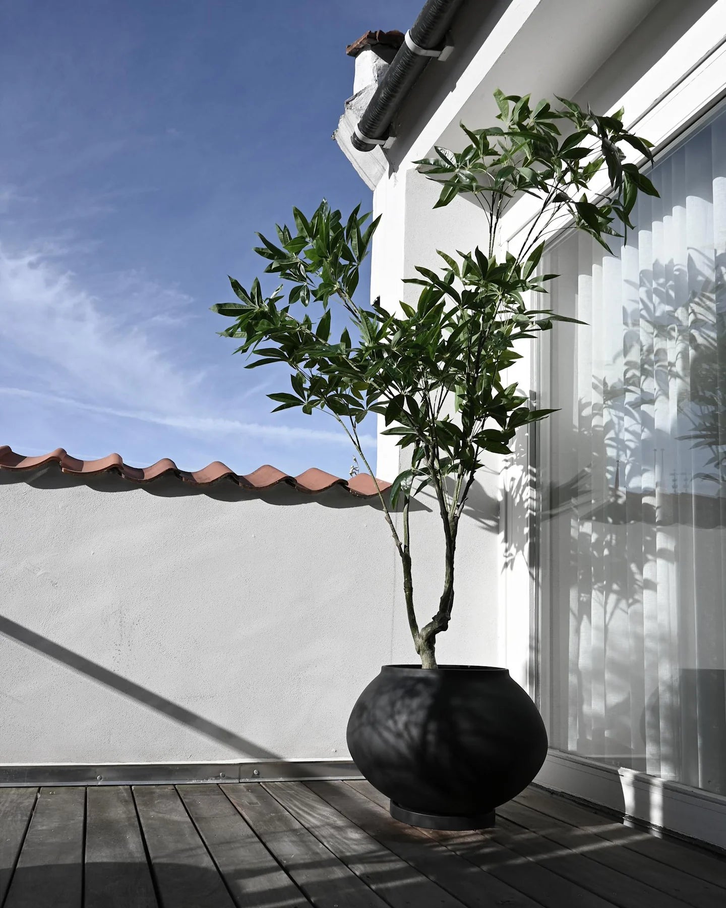 Sunao Plant Pot - Fat