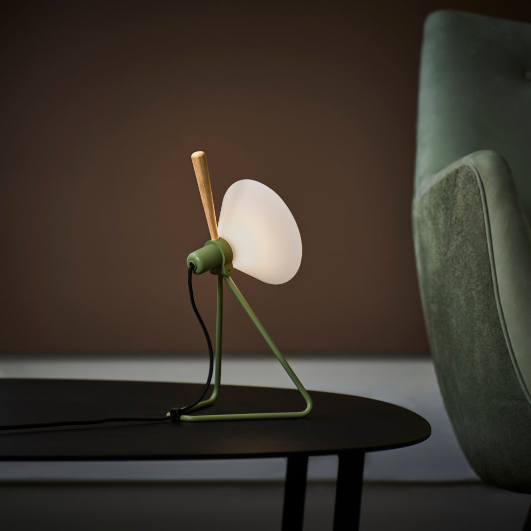Spot Wall/Table Lamp