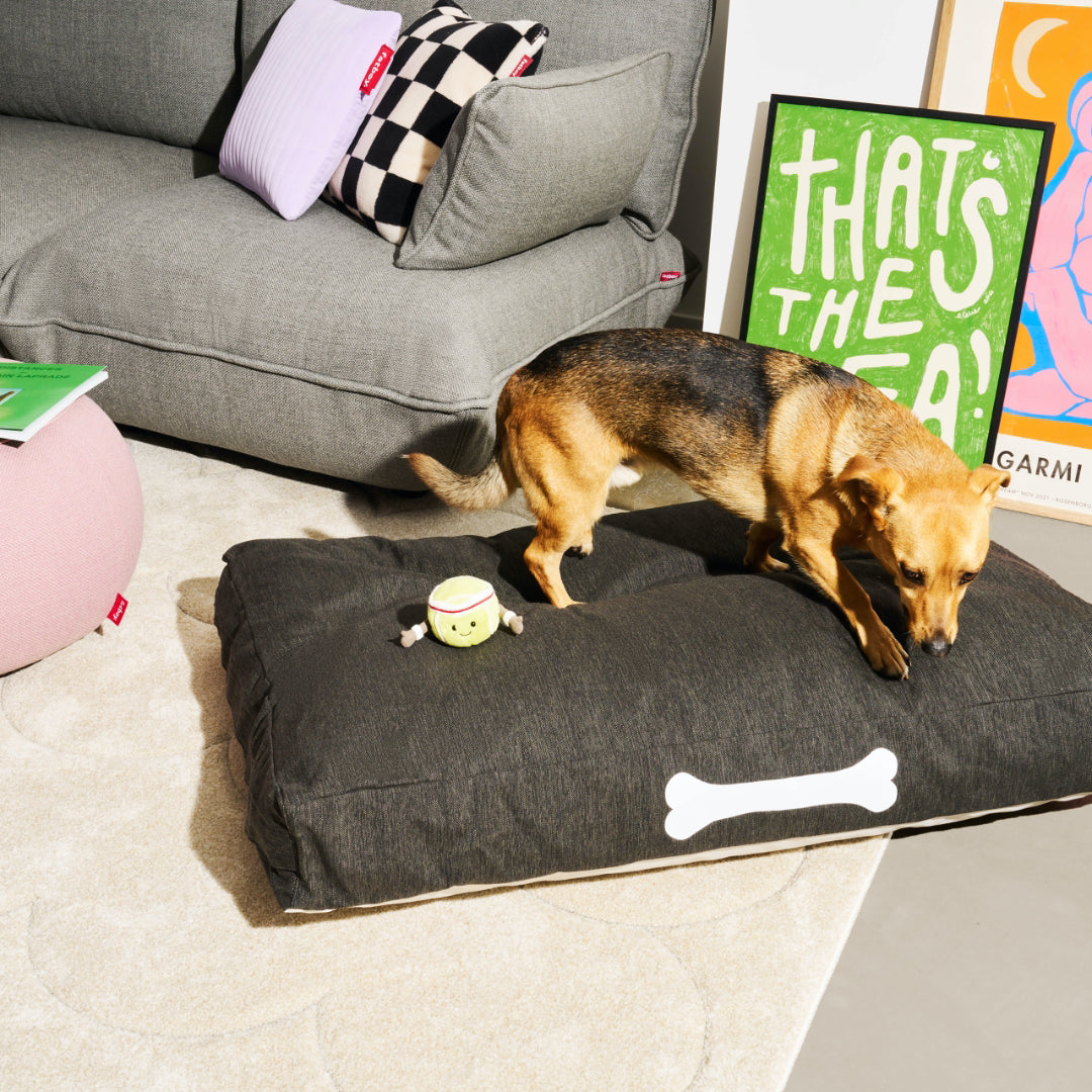 Doggielounge Large Dog Bed