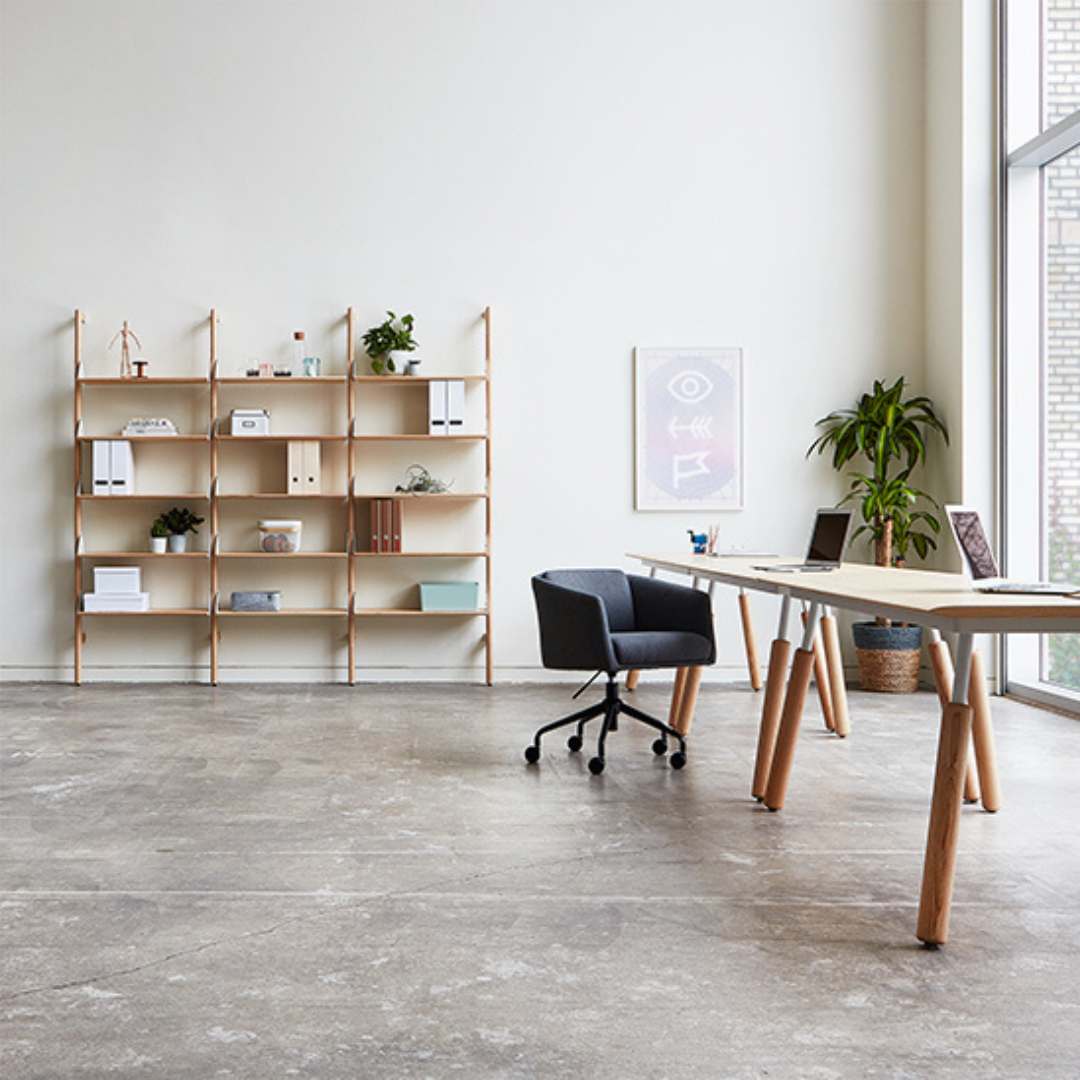 Branch-3 Shelving Unit