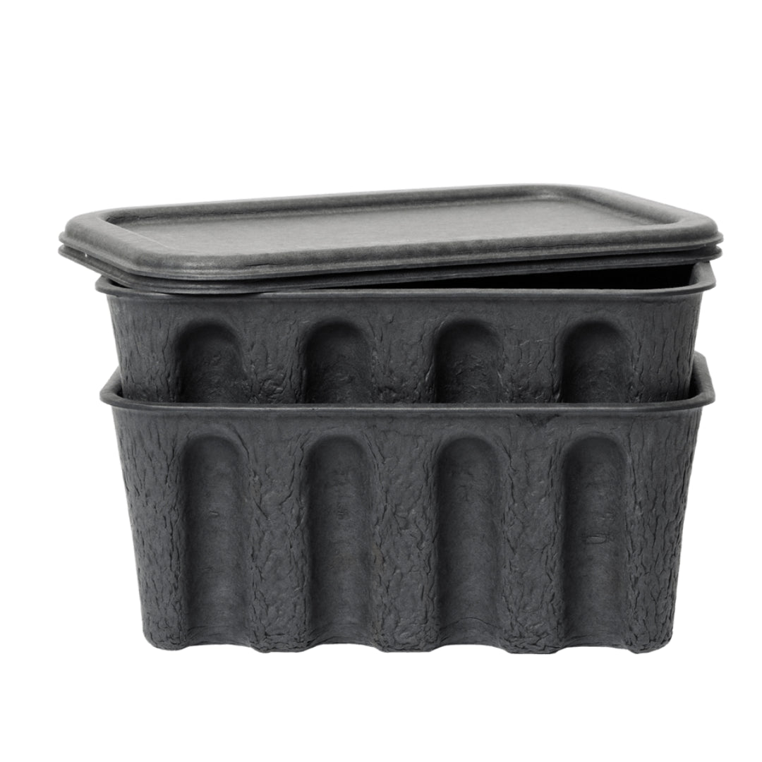 Small Paper Pulp Boxes | Set of 2