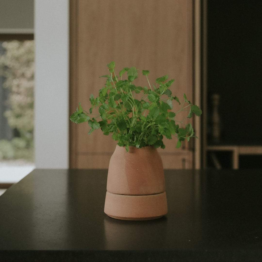 Bergs Potter Viva Self-Watering Herb Pot - Batten Home