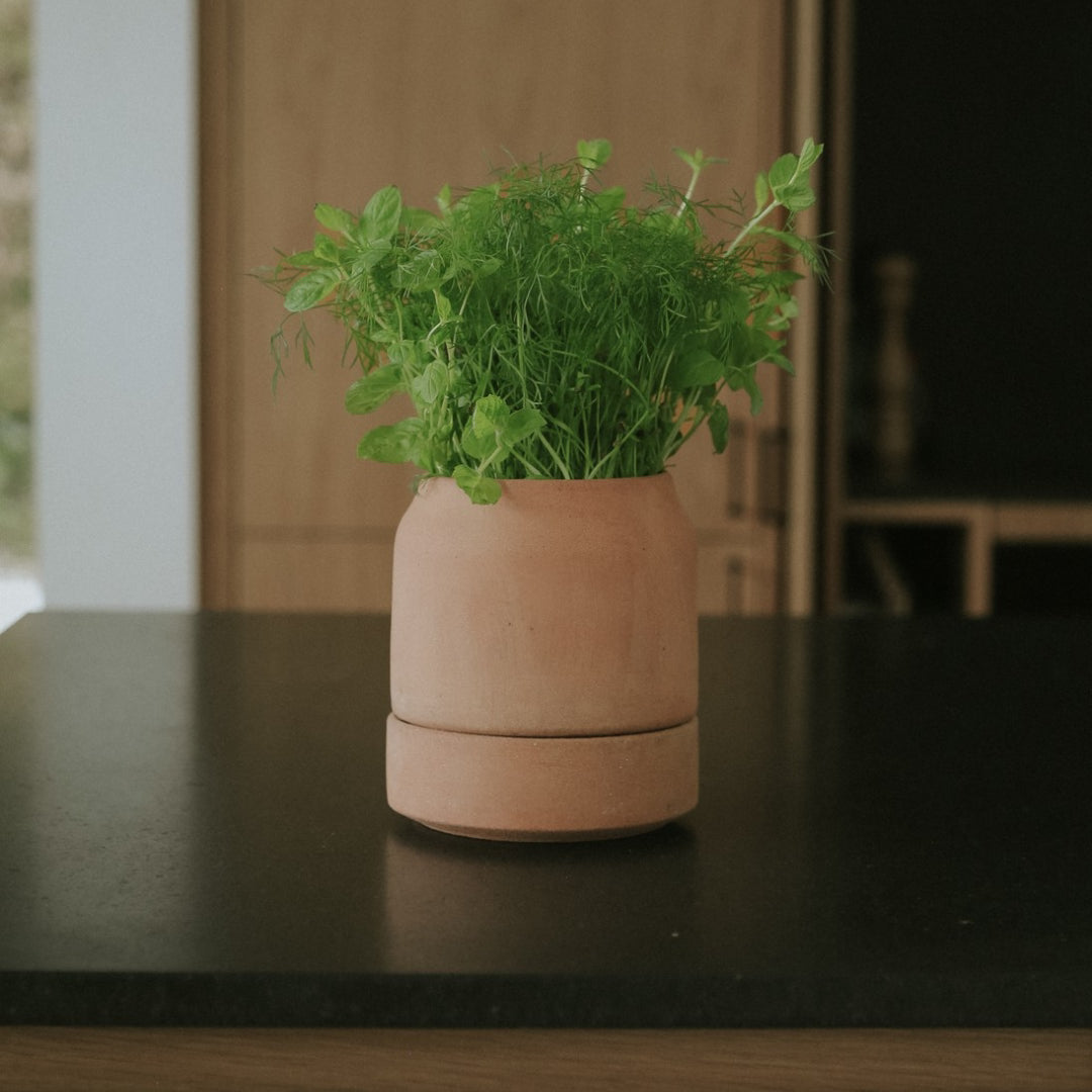 Bergs Potter Viva Self-Watering Herb Pot - Batten Home