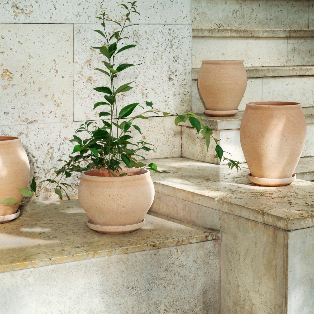 Delphi Pot