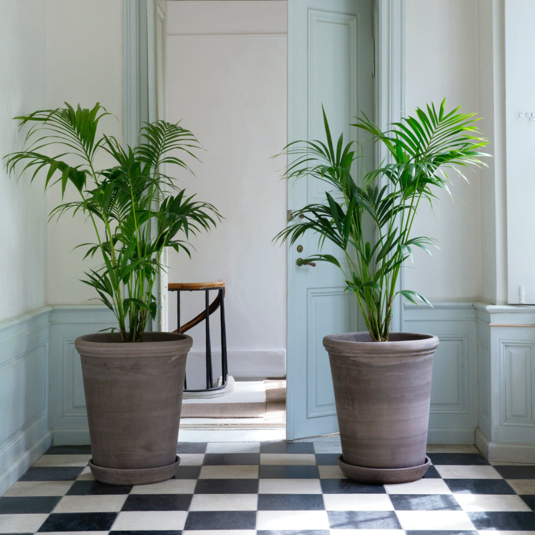 Flora Pot