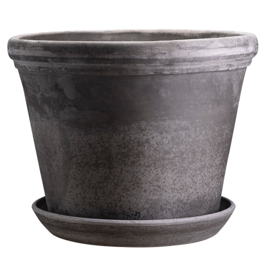 Flora Pot