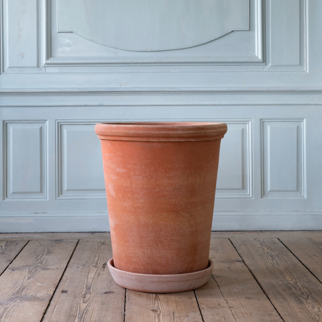 Flora Pot