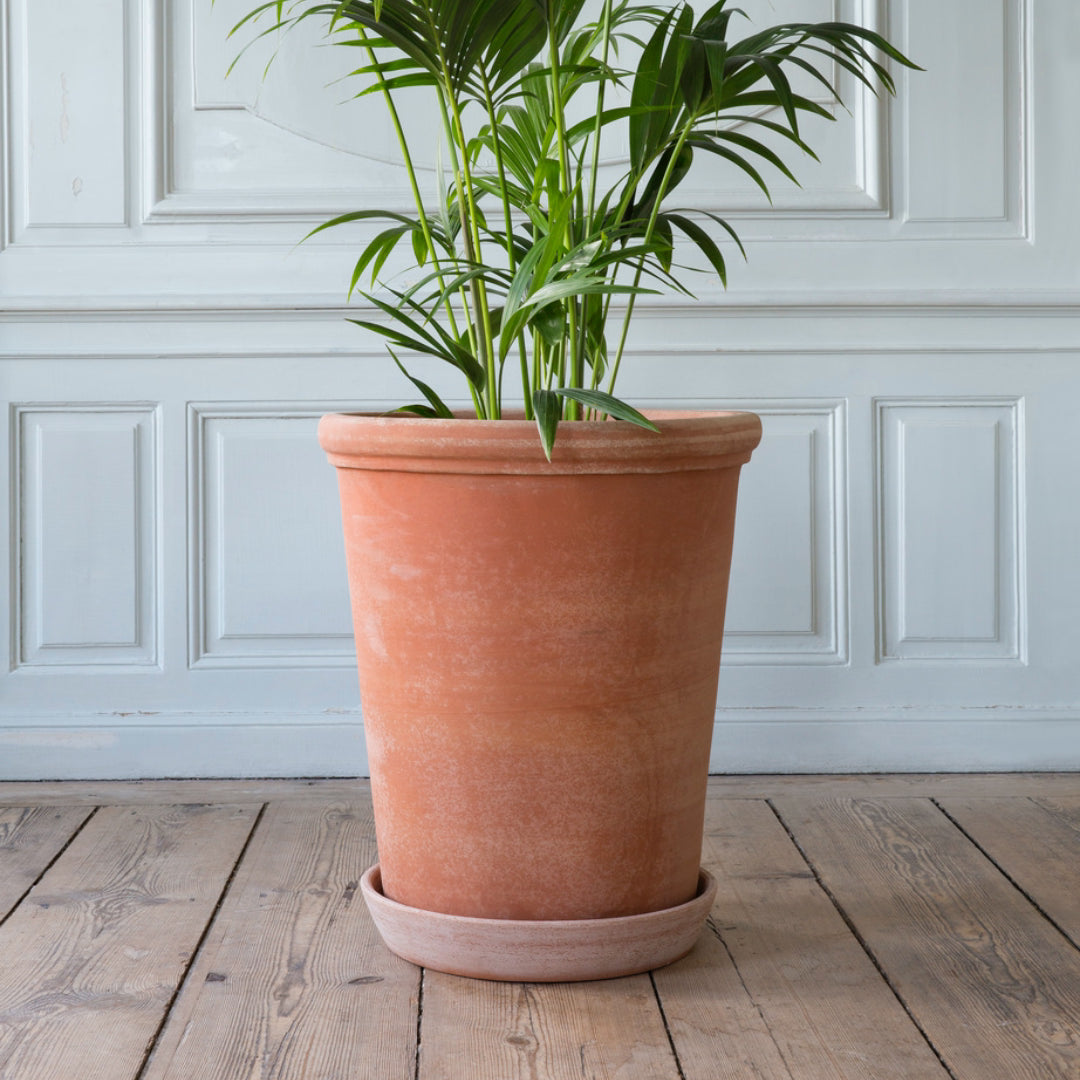 Flora Pot