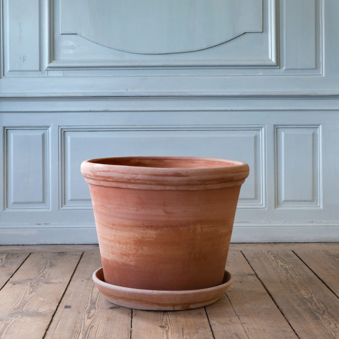 Flora Pot