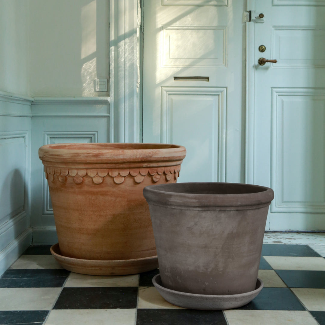 Flora Pot