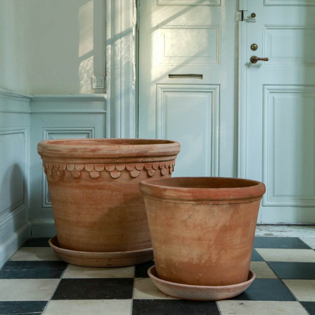 Flora Pot