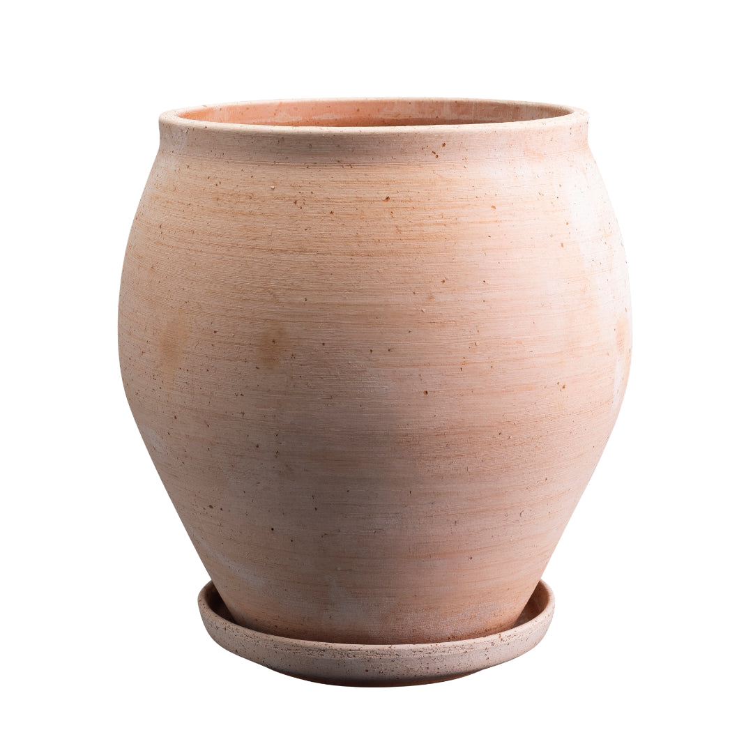 Delphi Pot