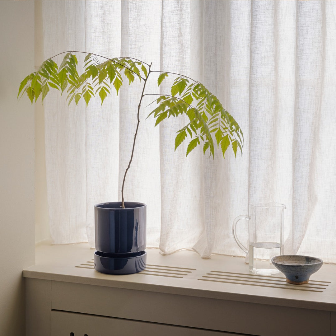 Hoff Glazed Pot - Sapphire Blue Set