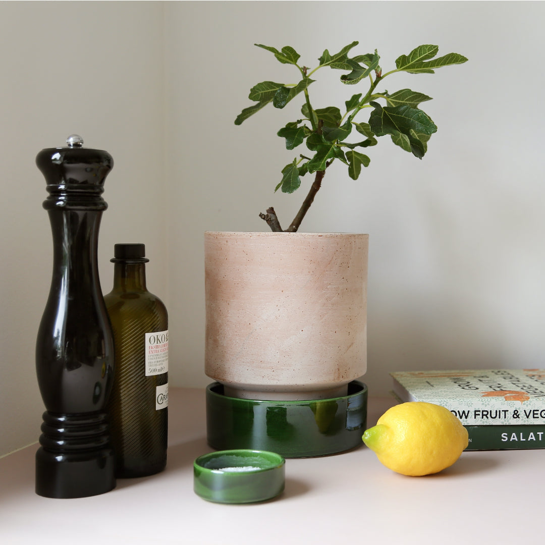 Hoff Raw Pot / Glazed Saucer Set