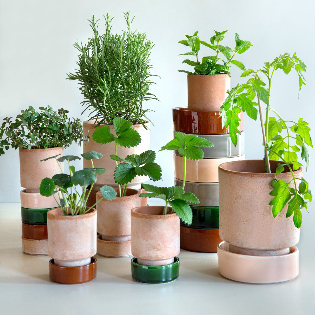 Hoff Raw Pot / Glazed Saucer Set