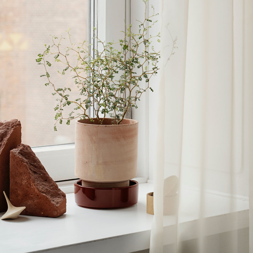 Hoff Raw Pot / Glazed Saucer Set