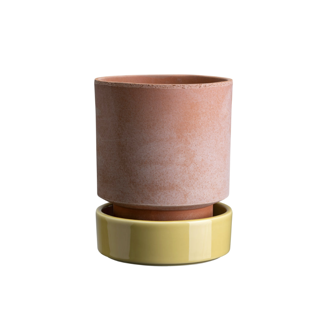 Hoff Raw Pot / Glazed Saucer Set