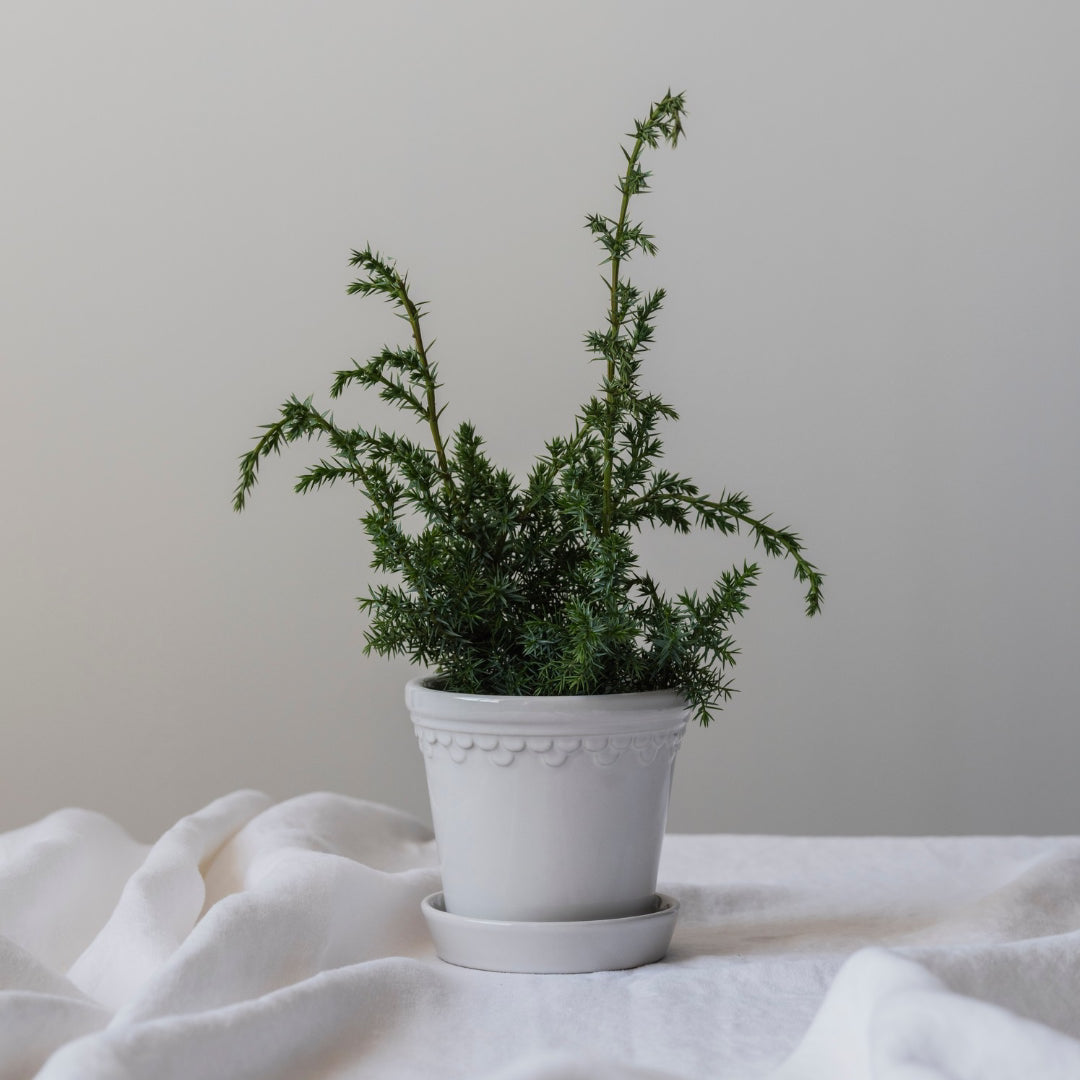 Københavner Glazed Pot