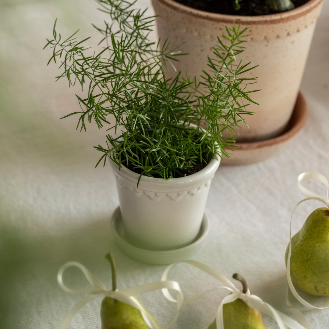 Københavner Glazed Pot