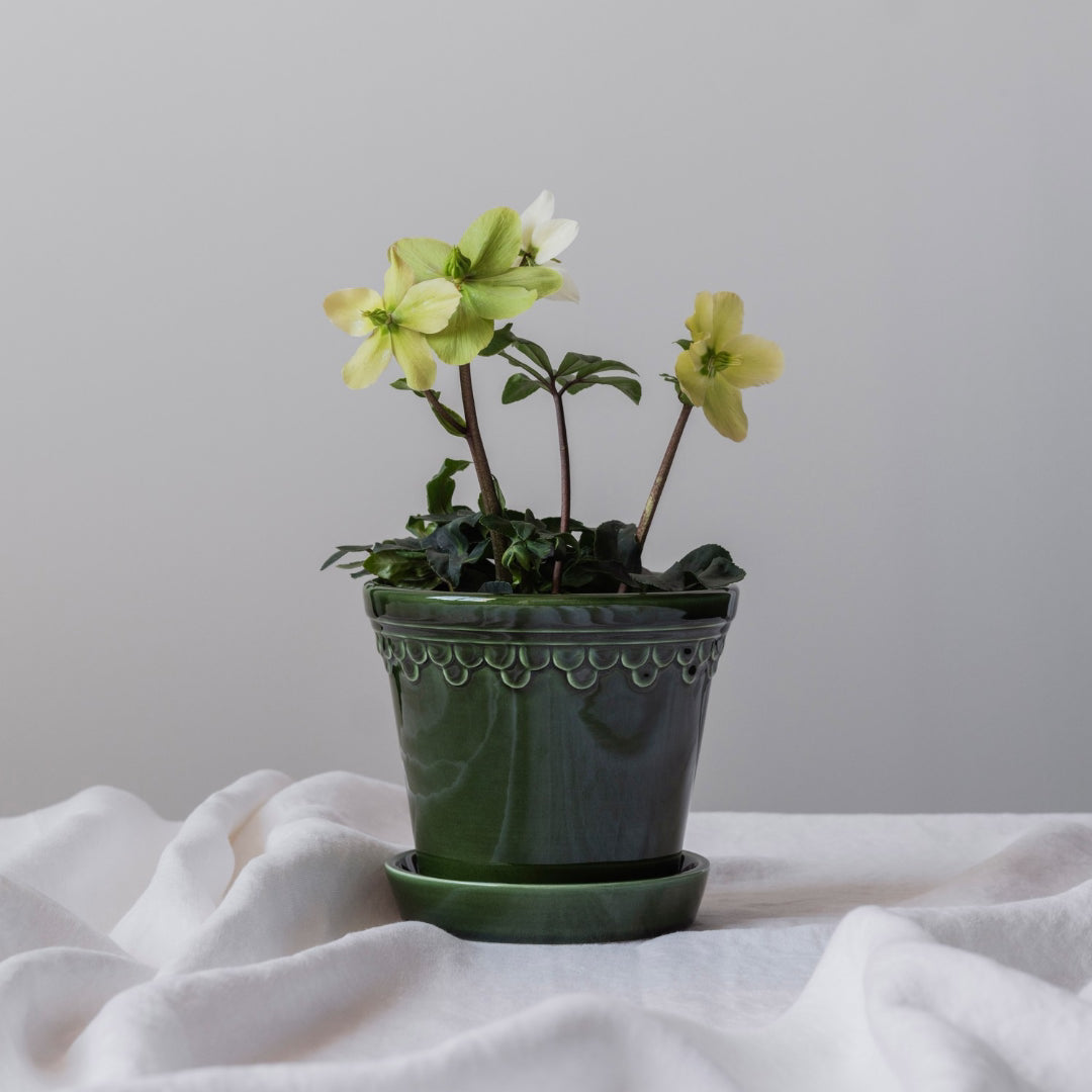 Københavner Glazed Pot