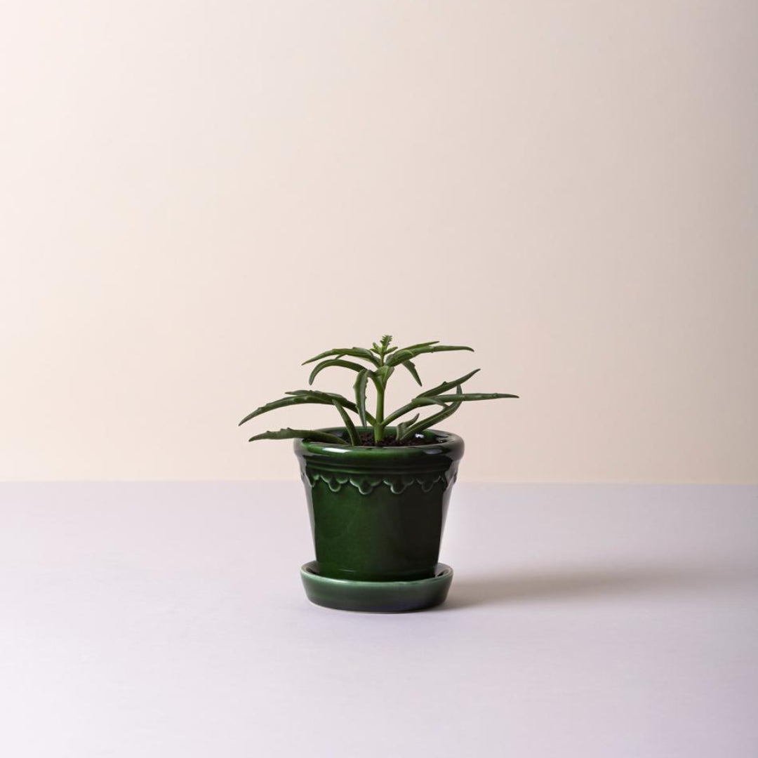 Københavner Glazed Pot