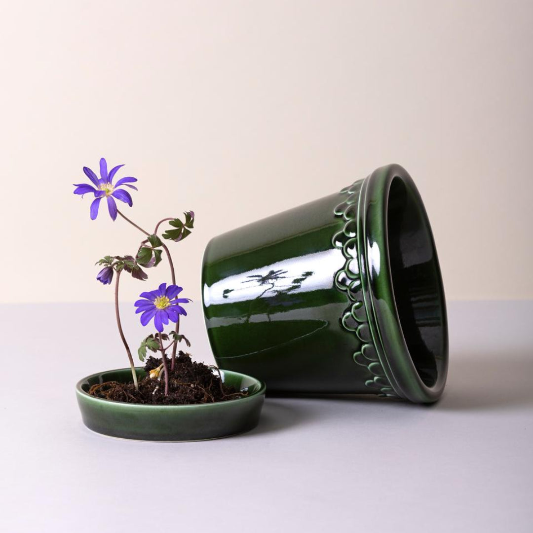 Københavner Glazed Pot