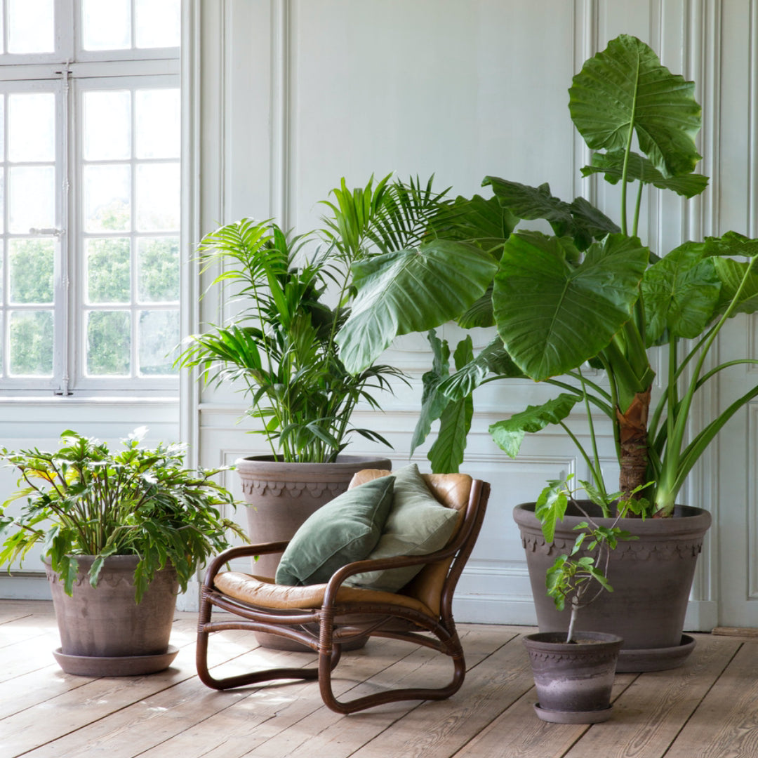 Københavner Raw Pot - Large