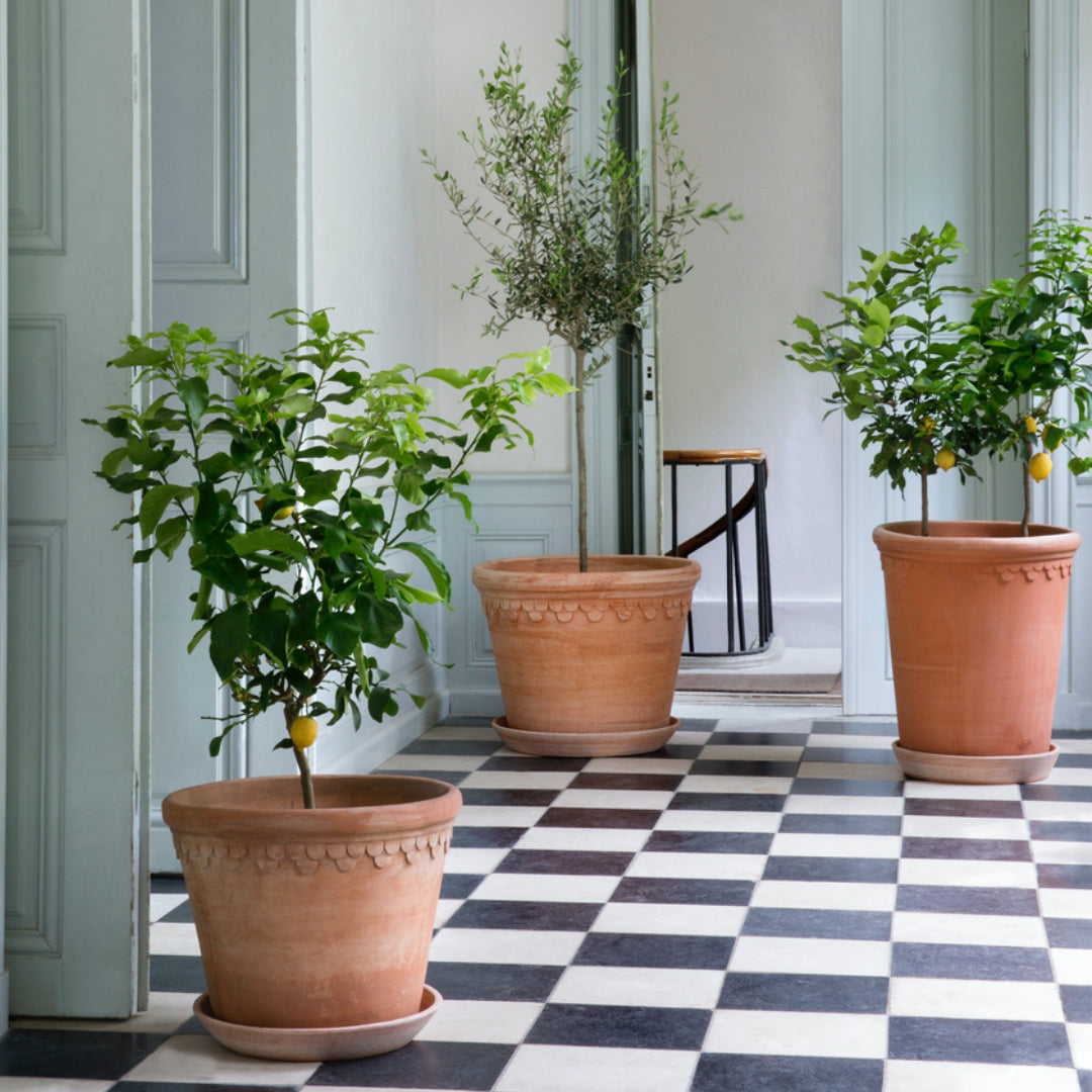 Københavner Raw Pot - Large