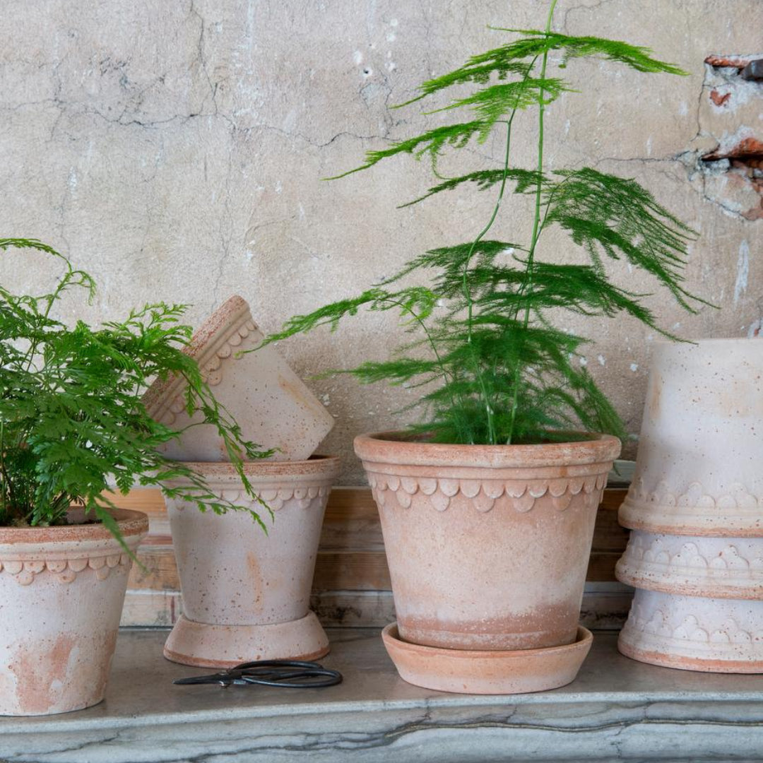 Københavner Raw Pot