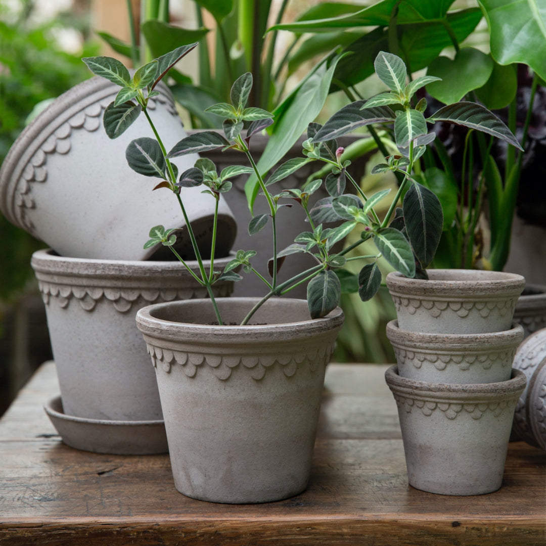 Københavner Raw Pot