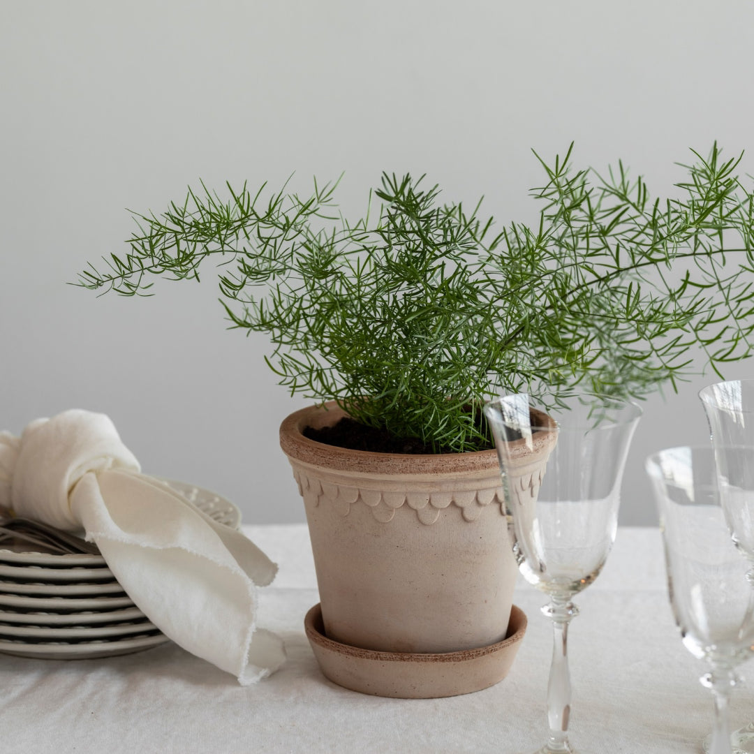 Københavner Raw Pot