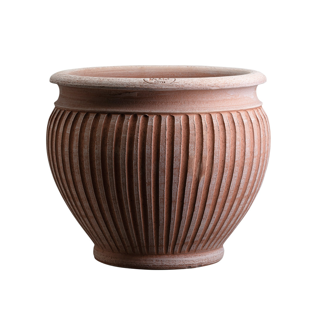 Piccolina Pot