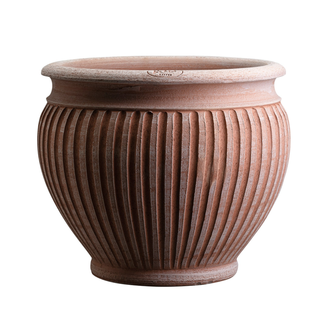 Piccolina Pot