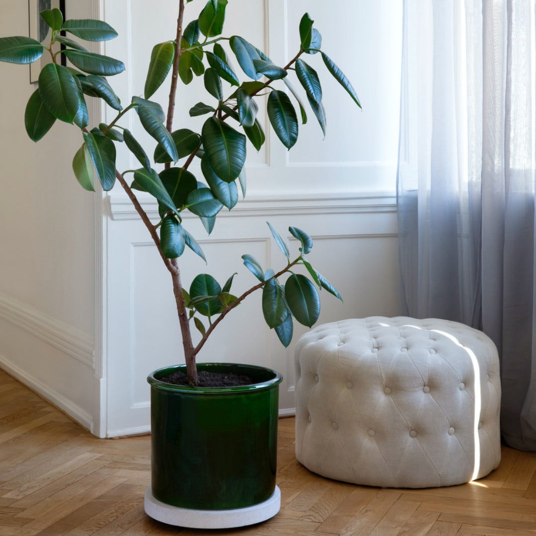 Rolling Stones Plant Trolley