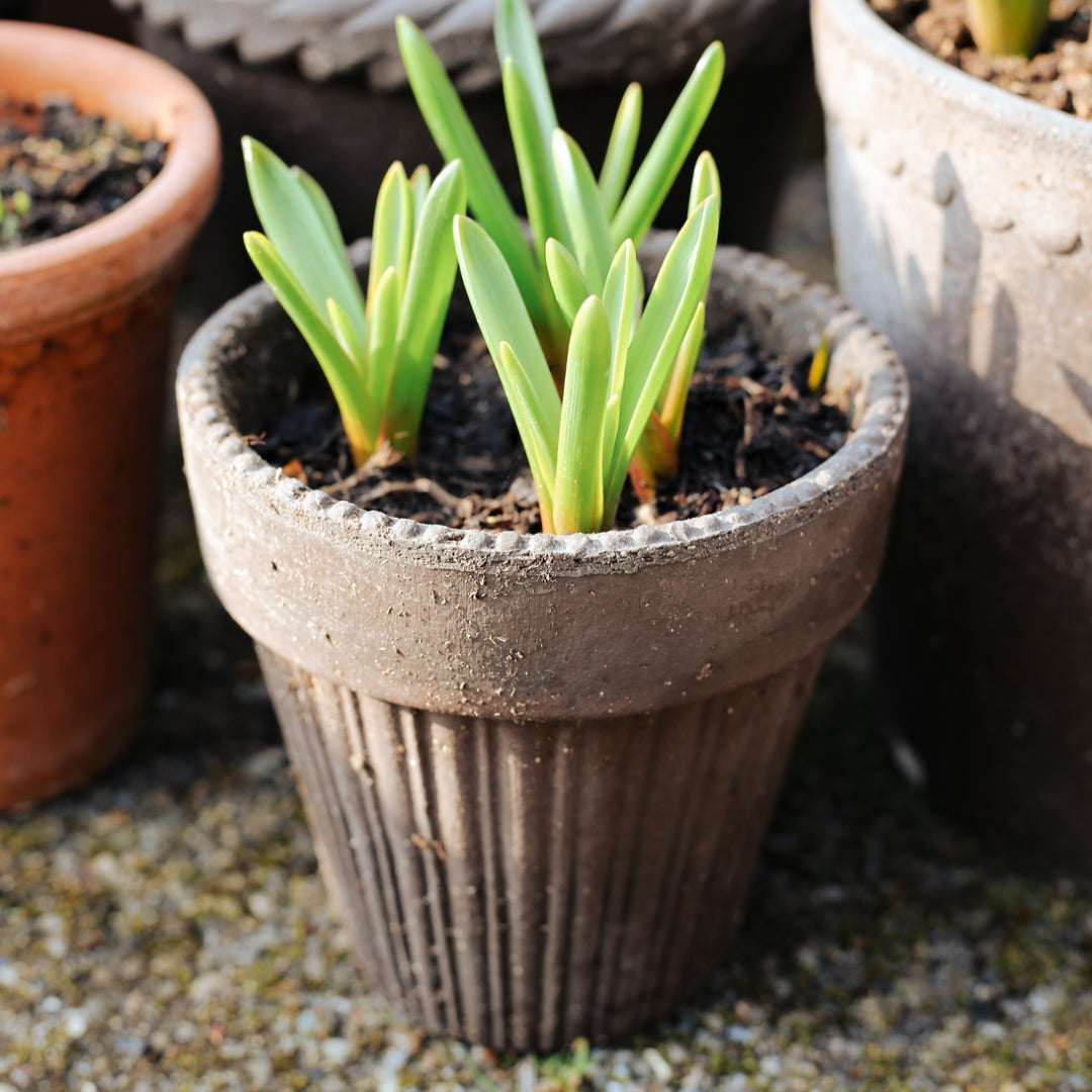 Simona Raw Pot - Grey