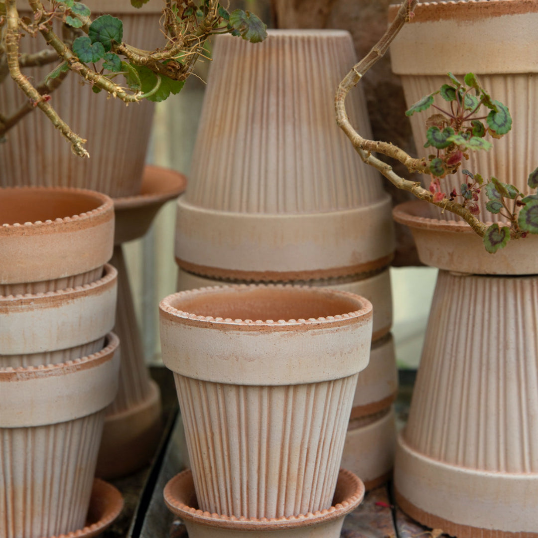 Simona Raw Pot - Rosa