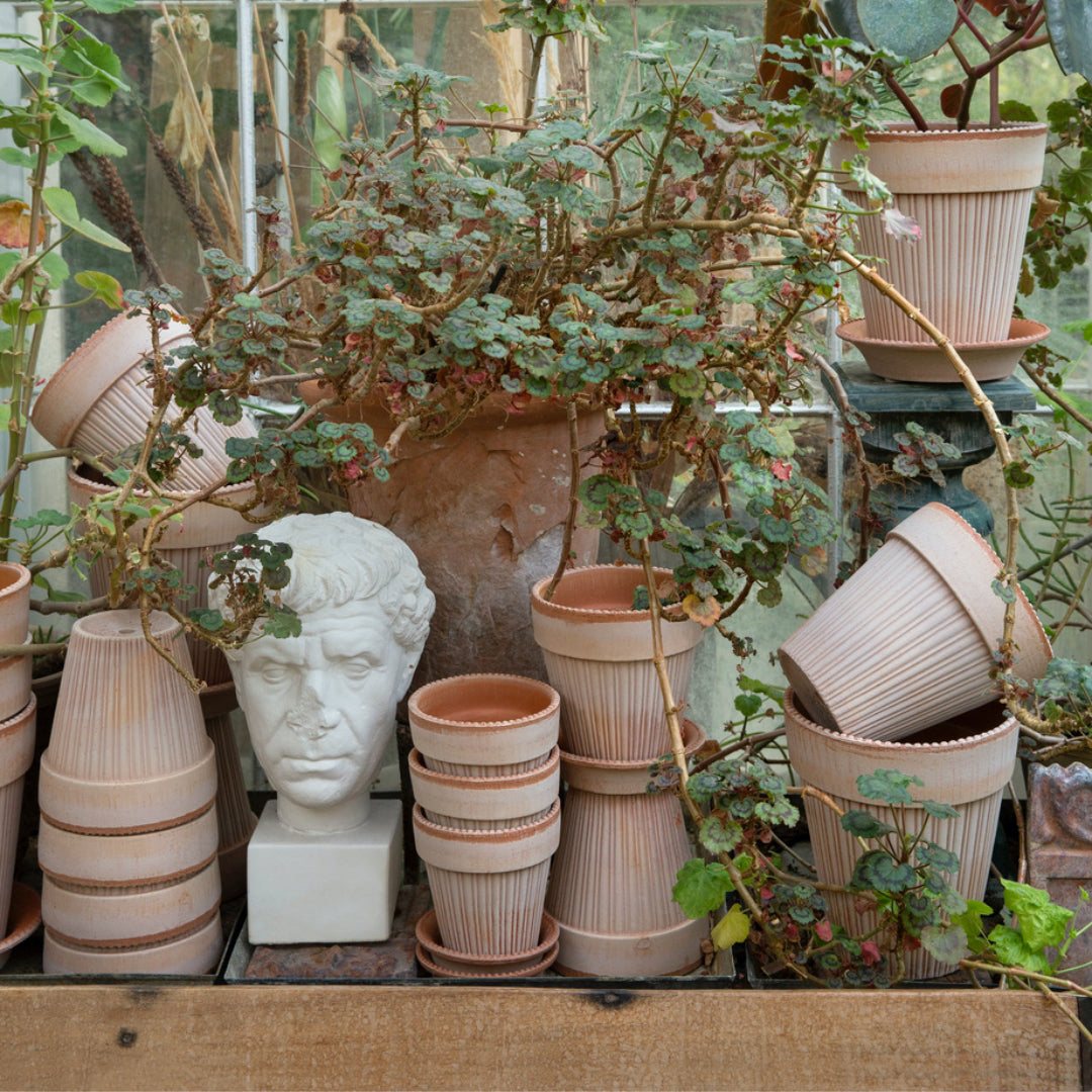 Simona Raw Pot - Rosa