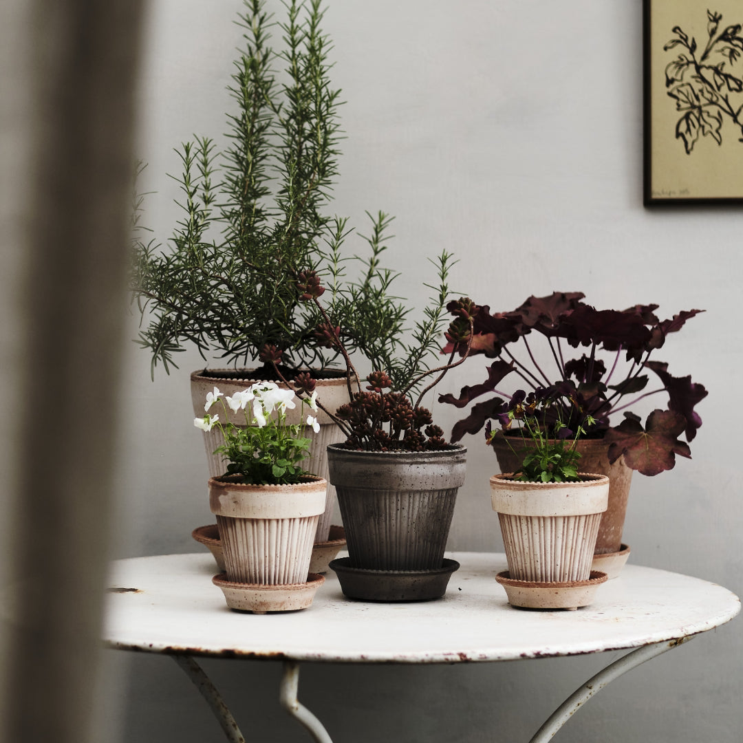 Simona Raw Pot - Rosa