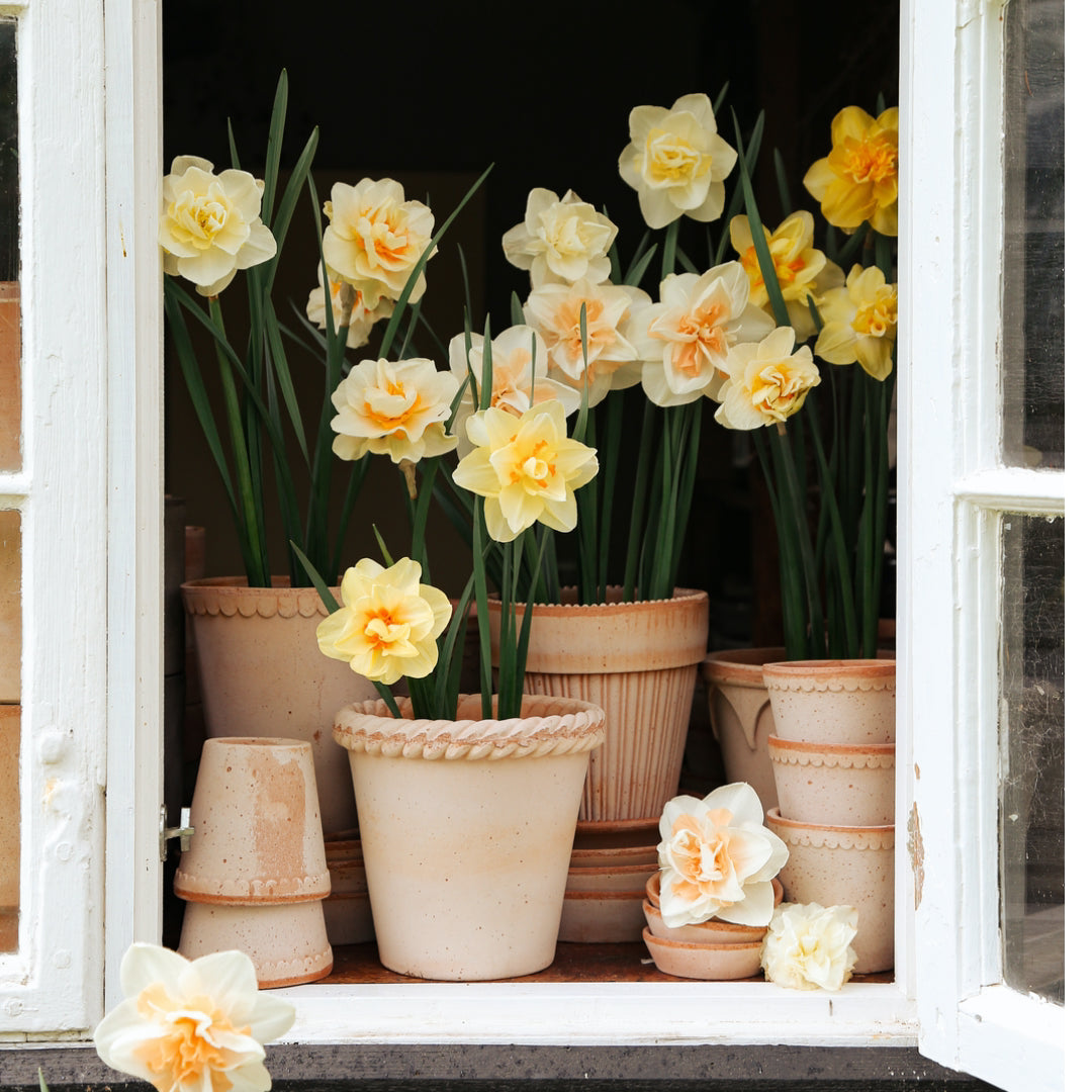 Simona Raw Pot - Rosa