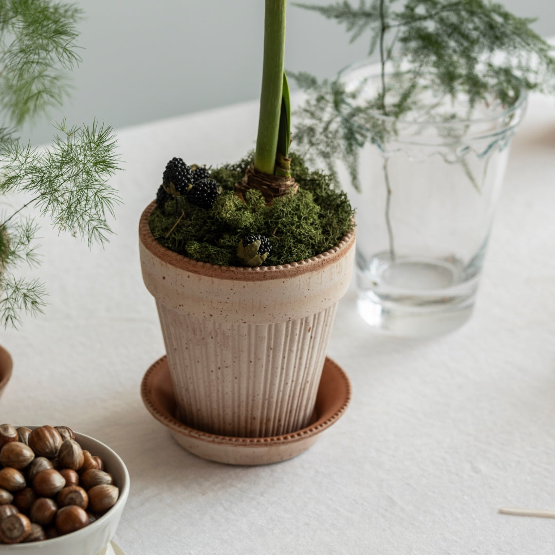 Simona Raw Pot - Rosa